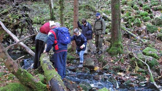 20071104 Hallandsåsen